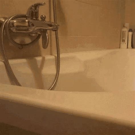 bathtub porn gif|Relevance Bathtub Gifs